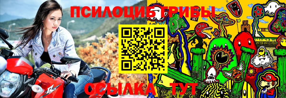 Псилоцибиновые грибы ЛСД  Вход с VPN  Борзя 