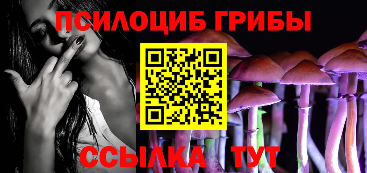 Псилоцибиновые грибы мицелий Борзя